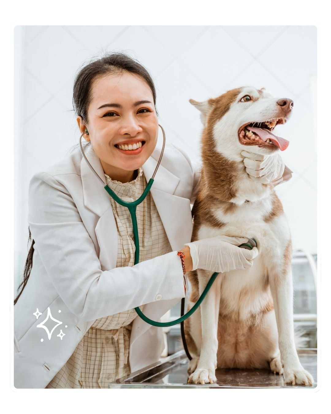 Veterinary